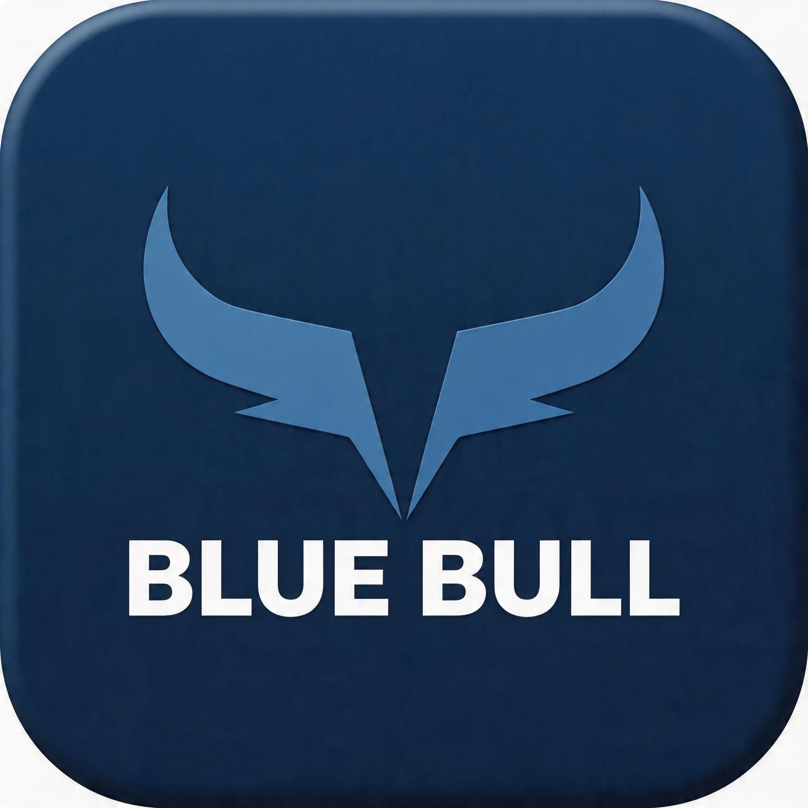 Blue Bull Capital